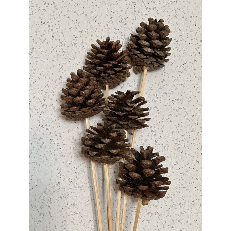 Pinecones on a stick