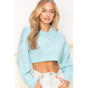 Flirtatious Collared Crop Sweater Top